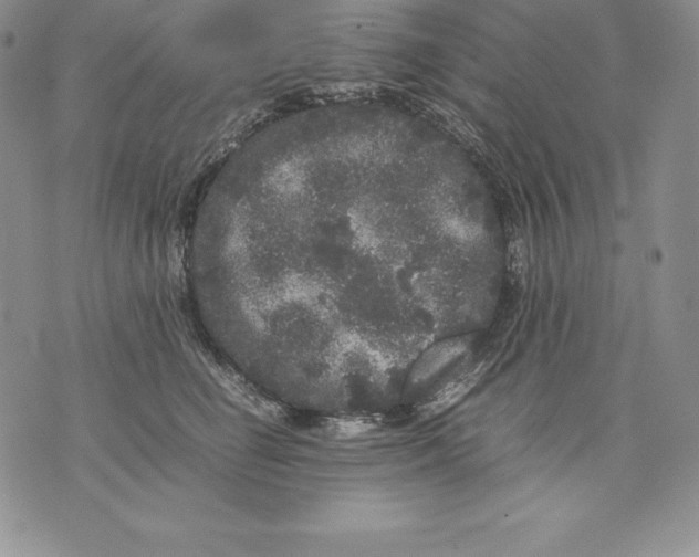 X0000071780662200607282239