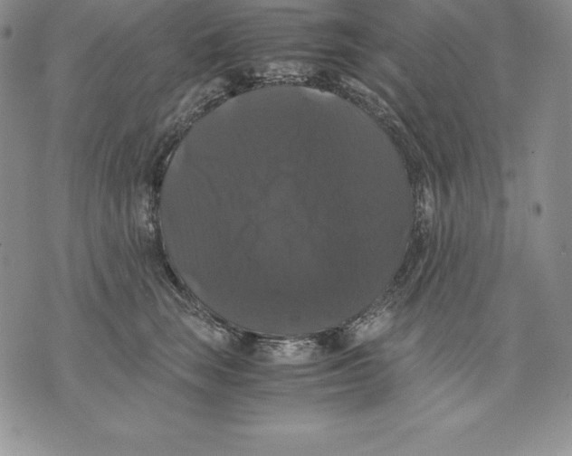 X0000071780663200607282239