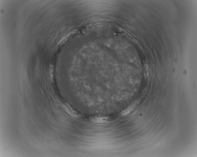 X0000071780664200607282239