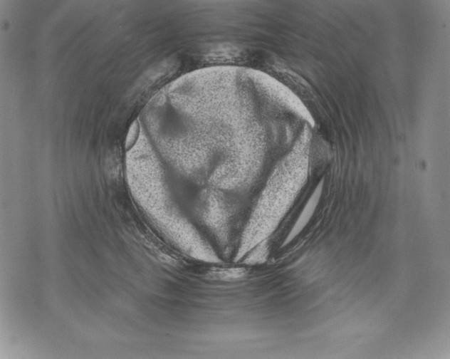 X0000071780665200607282239