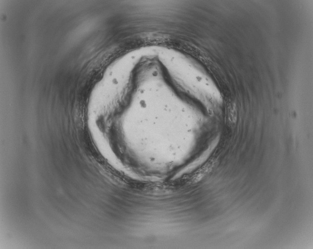 X0000071780666200607282239