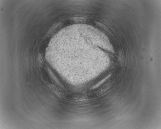 X0000071780667200607282239