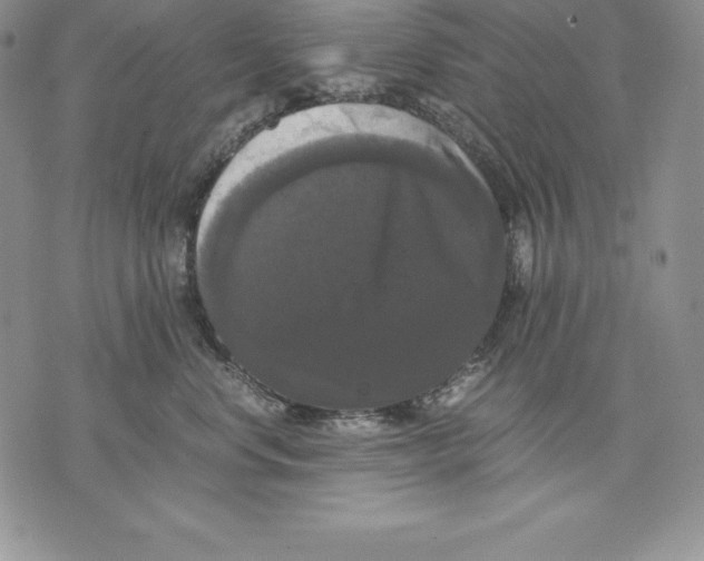 X0000071780668200607282239