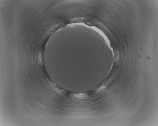 X0000071780669200607282239