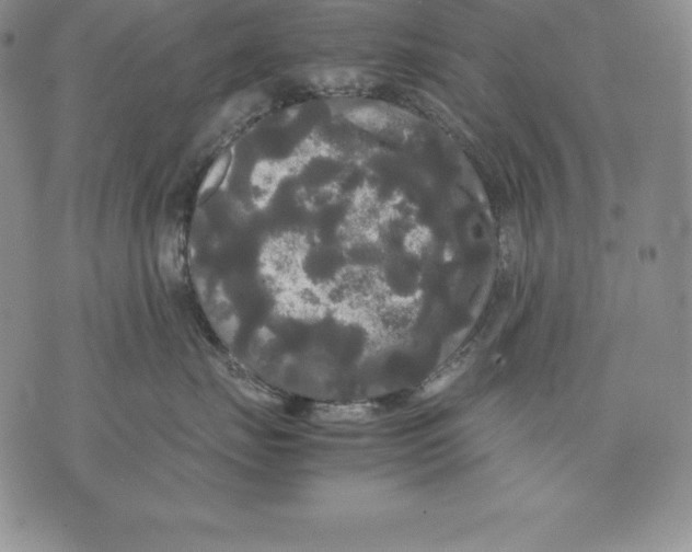 X0000071780671200607282239