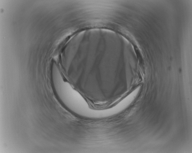 X0000071780673200607282239