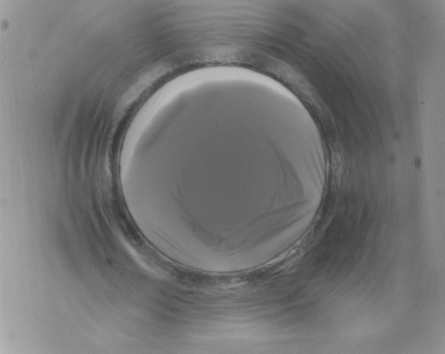 X0000071780674200607282239