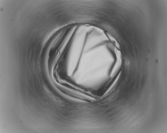 X0000071780676200607282239