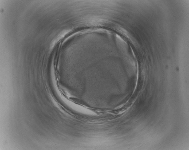 X0000071780677200607282239