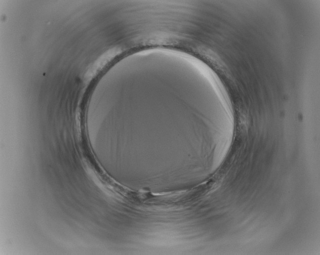 X0000071780678200607282238