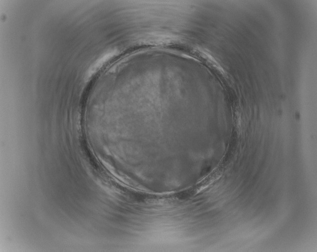 X0000071780679200607282238