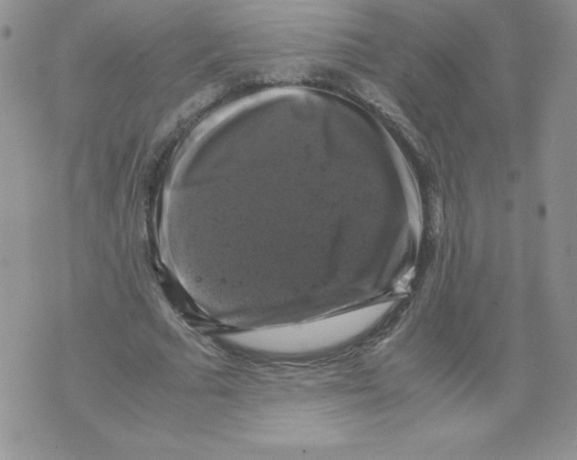 X0000071780681200607282238