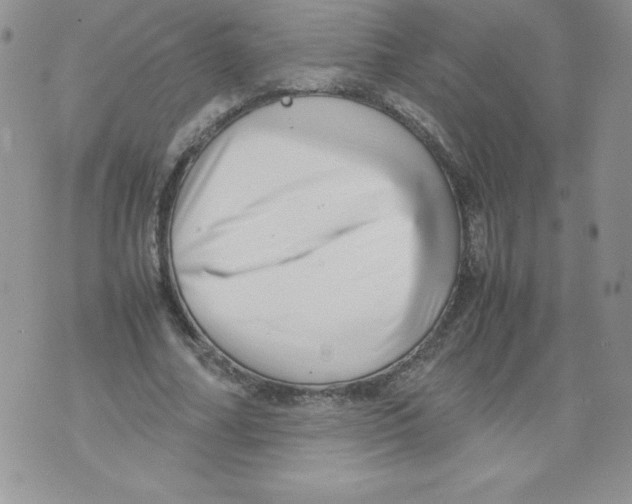 X0000071780682200607282238