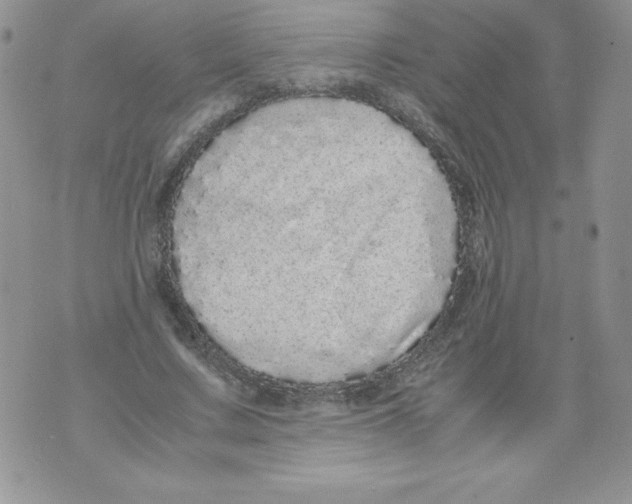 X0000071780683200607282238