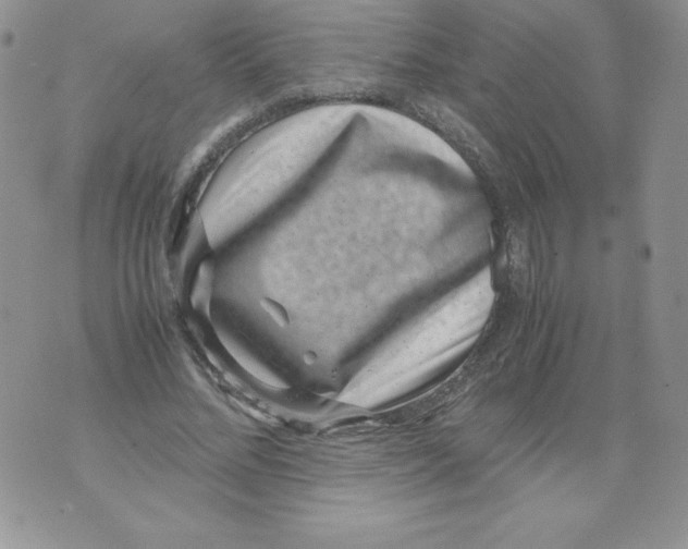 X0000071780684200607282238