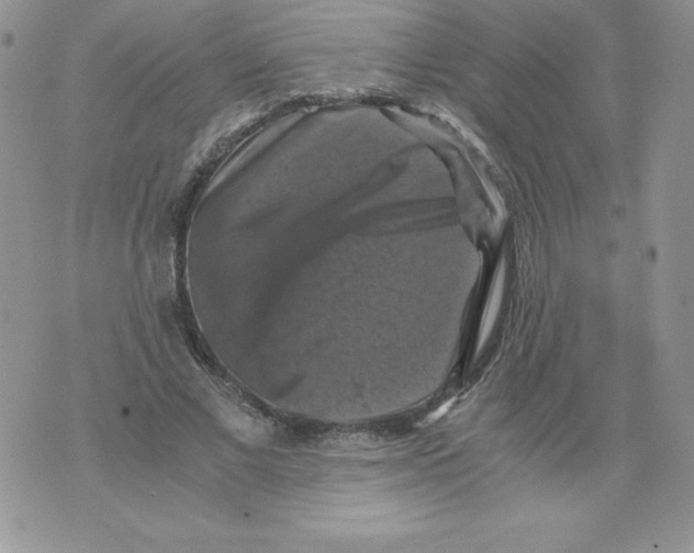 X0000071780685200607282238