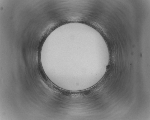 X0000071780686200607282238