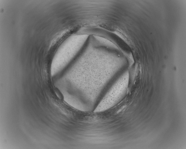 X0000071780688200607282238