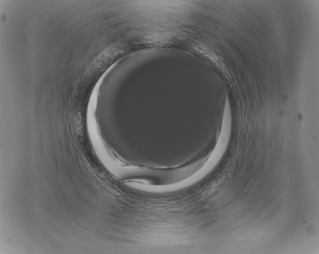 X0000071780689200607282238