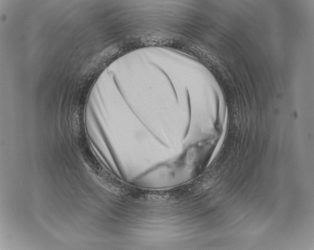 X0000071780690200607282238