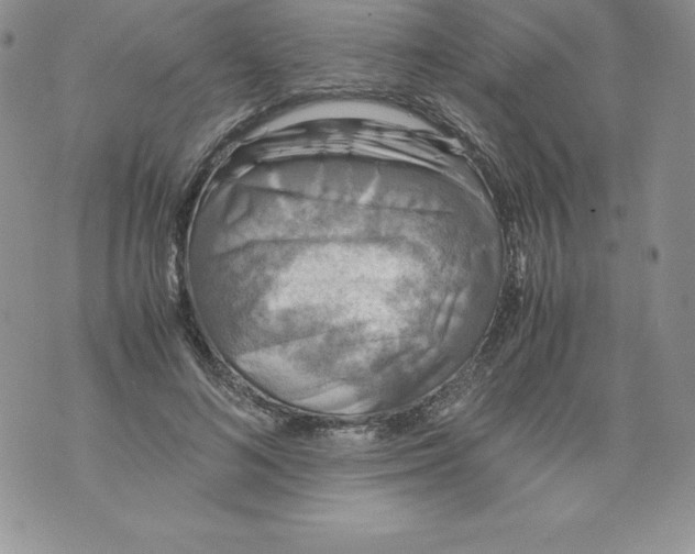 X0000071780692200607282238