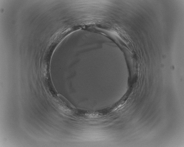 X0000071780693200607282238