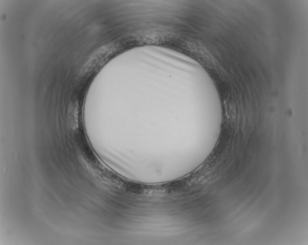 X0000071780694200607282238