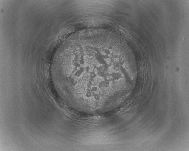 X0000071780695200607282238