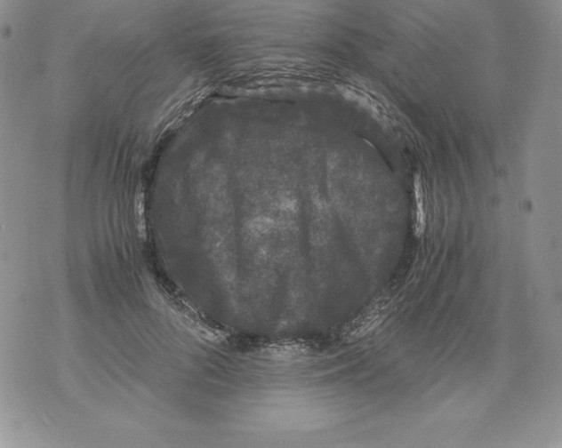 X0000071780696200607282238