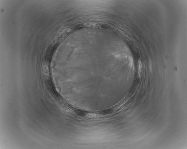 X0000071780699200607282238