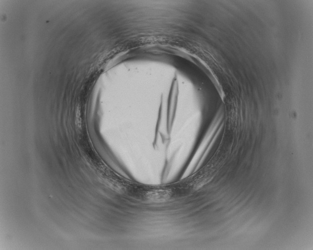 X0000071780700200607282238