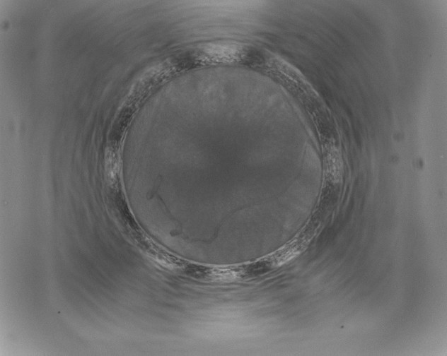 X0000071780701200607282238