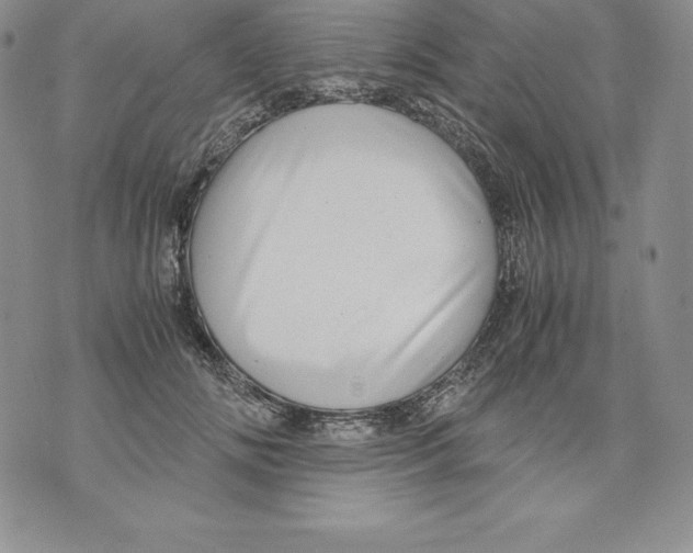 X0000071780702200607282238