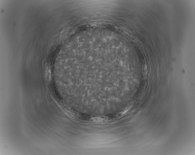 X0000071780703200607282238