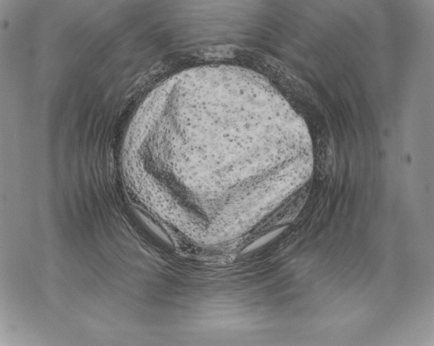 X0000071780704200607282238