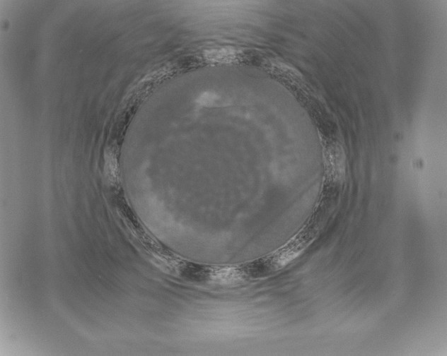 X0000071780705200607282238