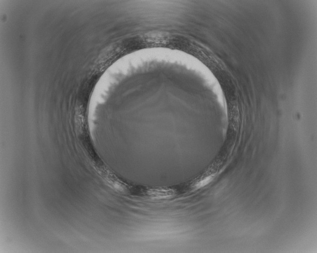 X0000071780707200607282238