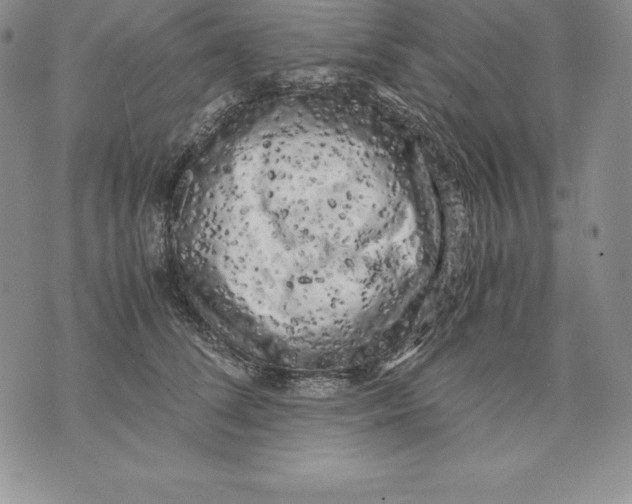 X0000071780708200607282238