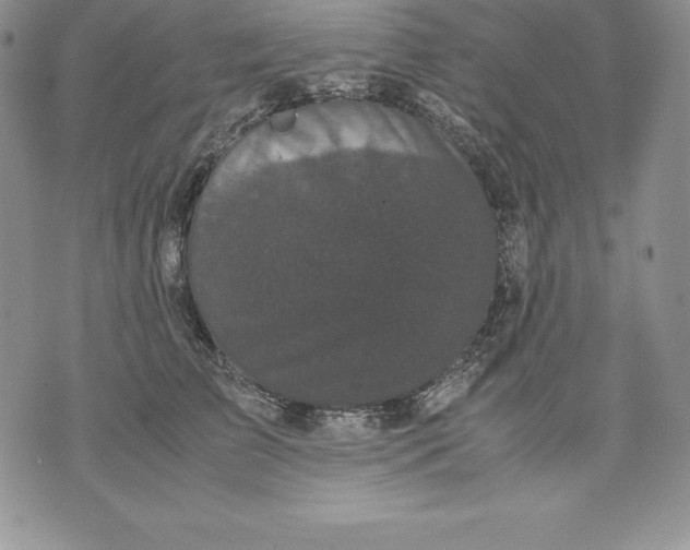 X0000071780709200607282238