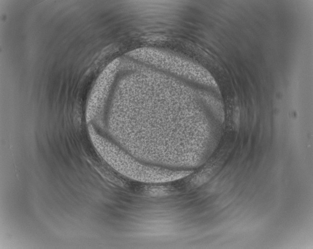 X0000071780710200607282238