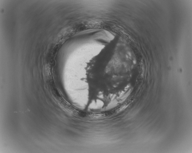 X0000071780711200607282238