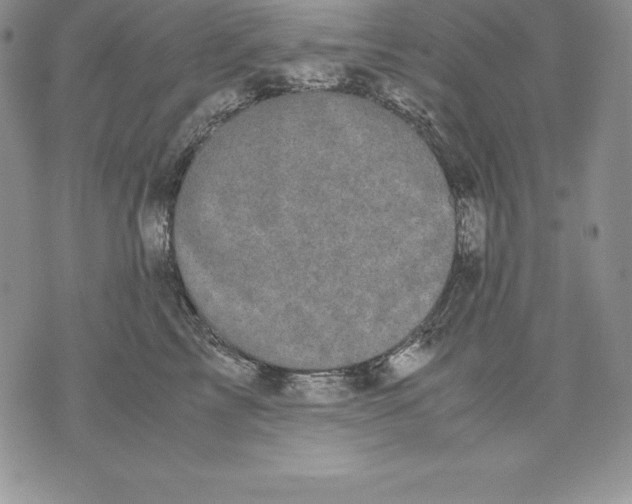 X0000071780713200607282238