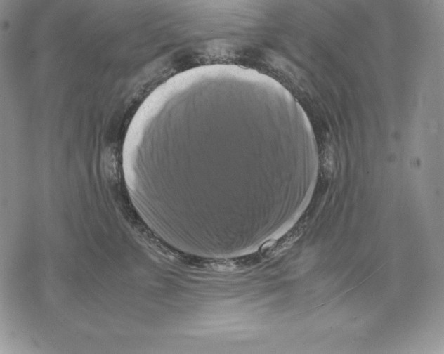 X0000071780715200607282238