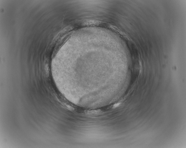 X0000071780716200607282238