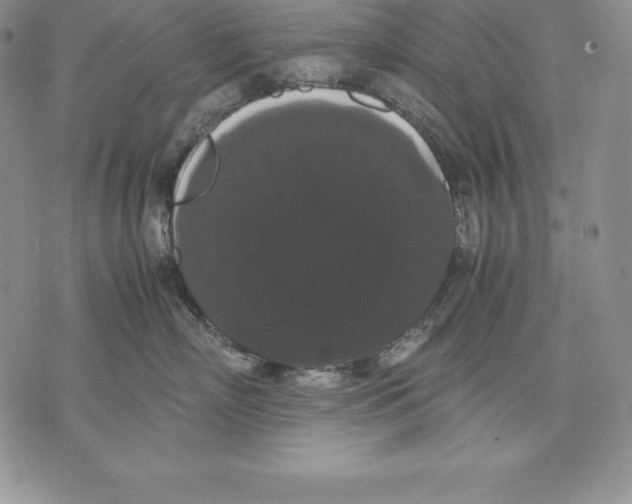 X0000071780718200607282238