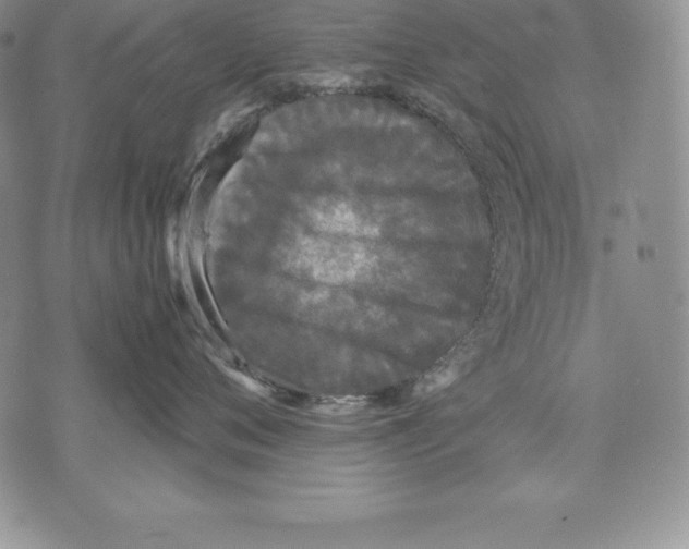 X0000071780720200607282238