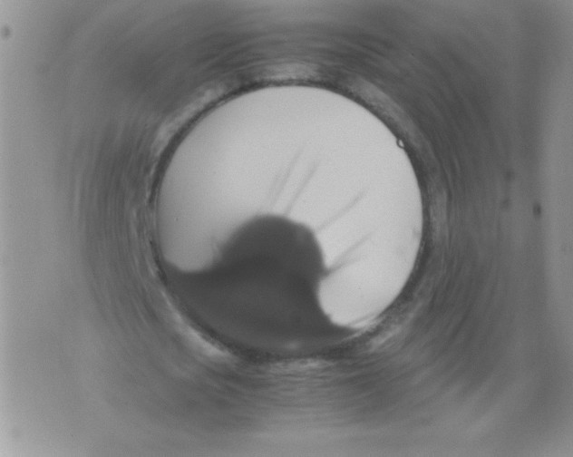 X0000071780721200607282237