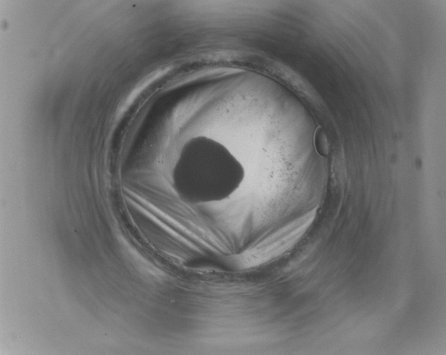 X0000071780722200607282237