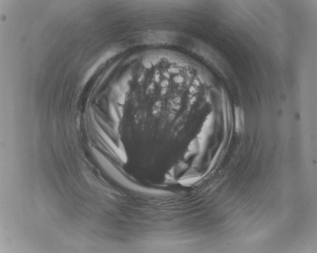 X0000071780723200607282237