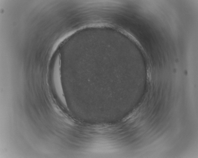 X0000071780724200607282237